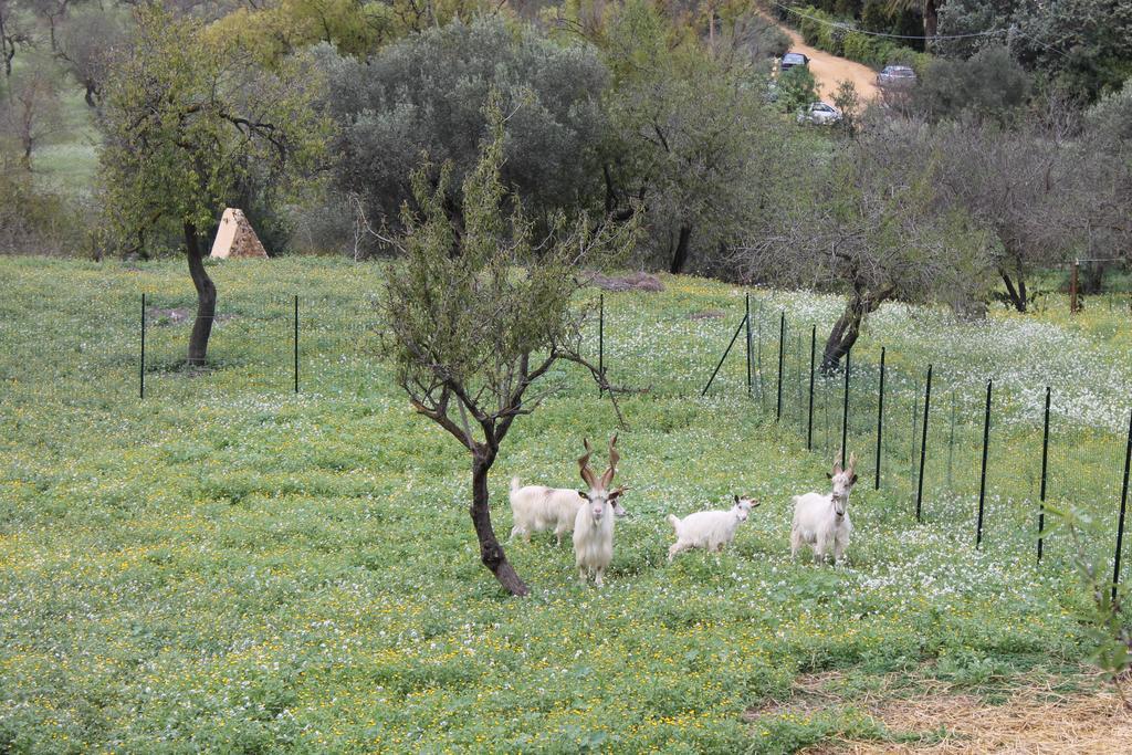 Casa Vistosa Agrigento Apartment ภายนอก รูปภาพ
